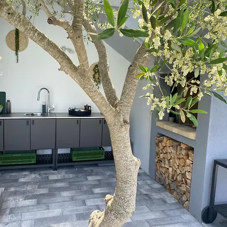 Вилла Dolce Biograd Na Moru With Private Swimming Pool Minutes From The Adriatic Sea *